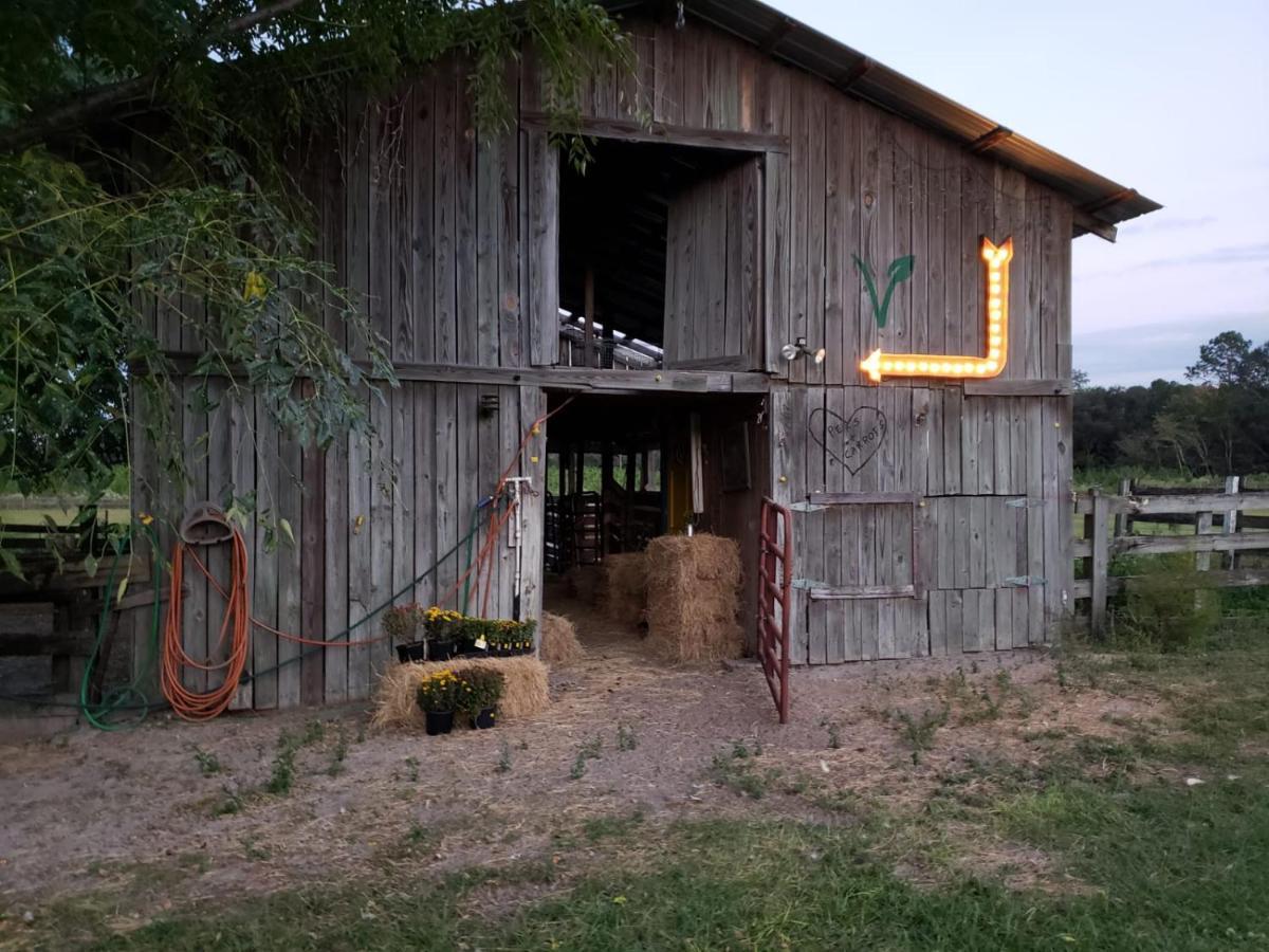Kokomo Farms Live Oak Exterior photo